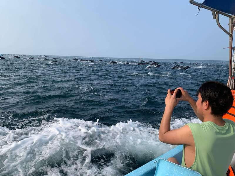 Puerto Escondido: Boat Tour to see Dolphins and Marine Life - Dolphins in the open Pacific