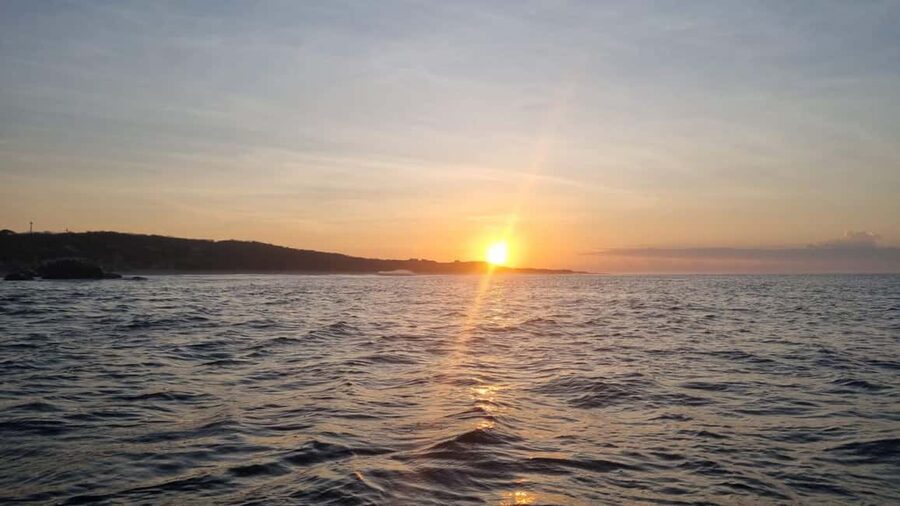 Puerto Escondido: The Best Adventure for Dolphin Watching - Timing, Price, and Booking Flexibility