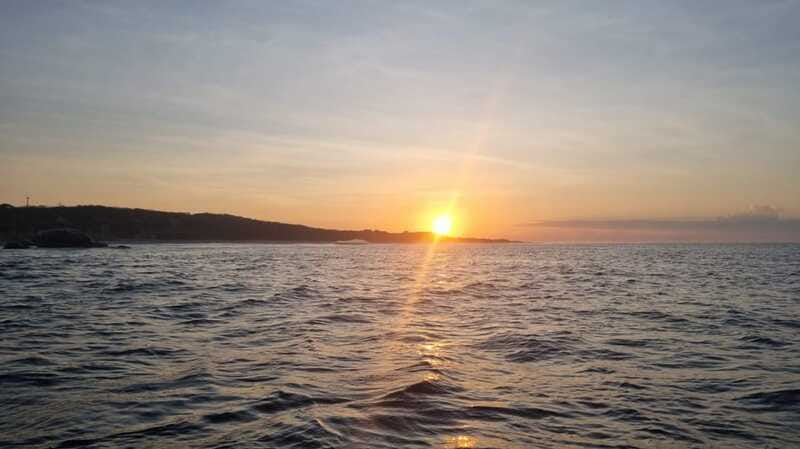 Puerto Escondido: The Best Adventure for Dolphin Watching - Should You Book It?