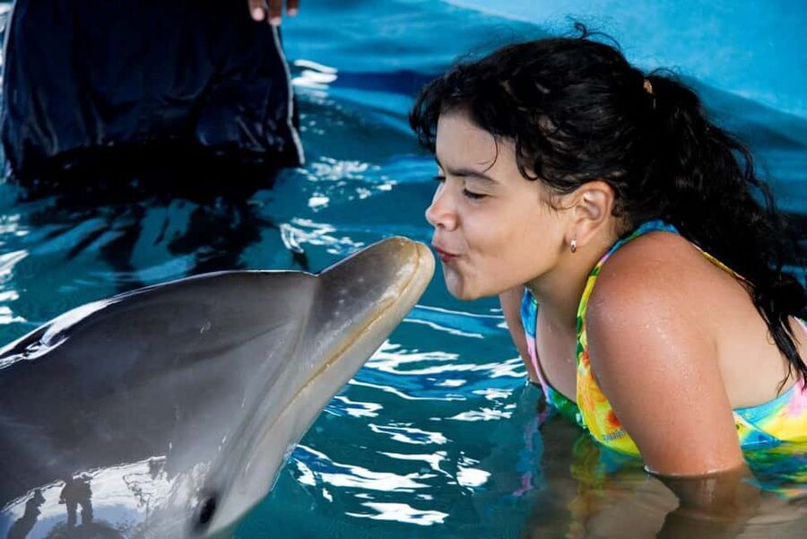Puerto Plata: Dolphin Encounter at Ocean World - Key points to know before booking