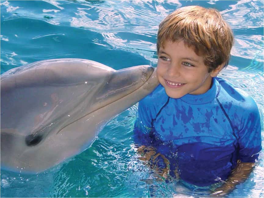 Puerto Plata: Dolphin Encounter at Ocean World - The dolphin lecture and contact session