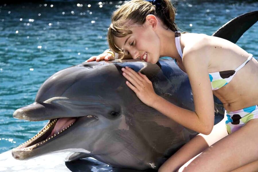 Puerto Plata: Dolphin Encounter at Ocean World - Making sense of the eight-and-a-half-hour day