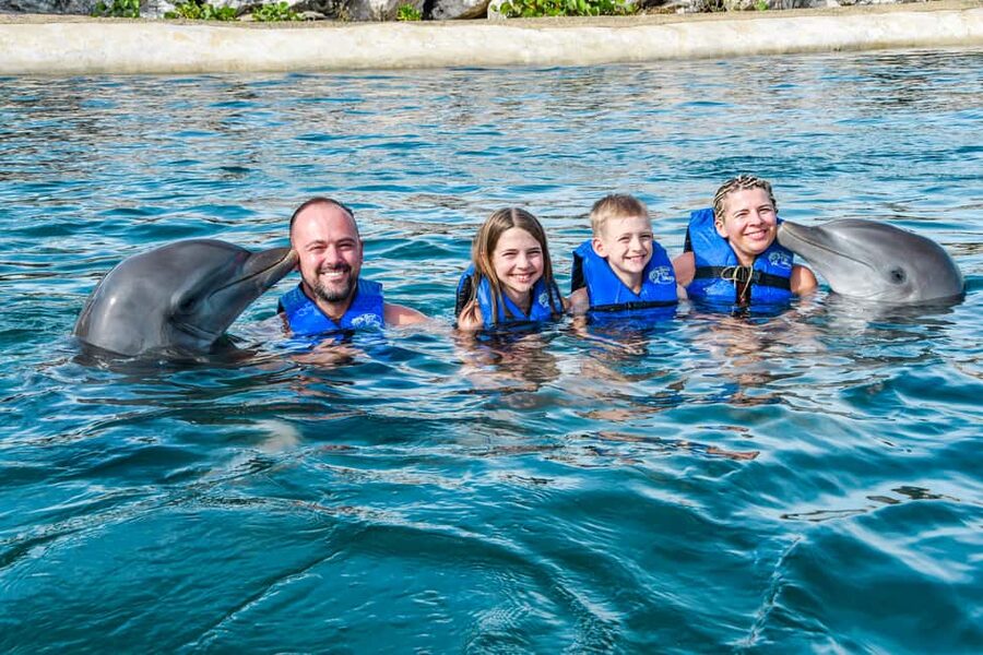 Puerto Plata: Ocean World Adventure Park Swim with Dolphins - Two dolphins, one lagoon, and a short moment to remember