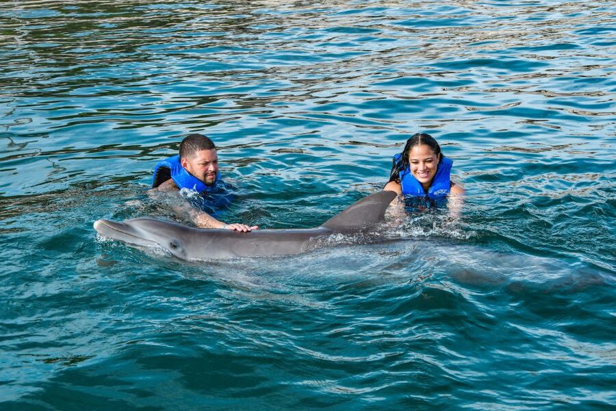 Puerto Plata: Ocean World Adventure Park Swim with Dolphins - Who should book this Ocean World day