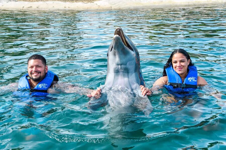 Puerto Plata: Ocean World Adventure Park Swim with Dolphins - What the 510-minute schedule means for your day