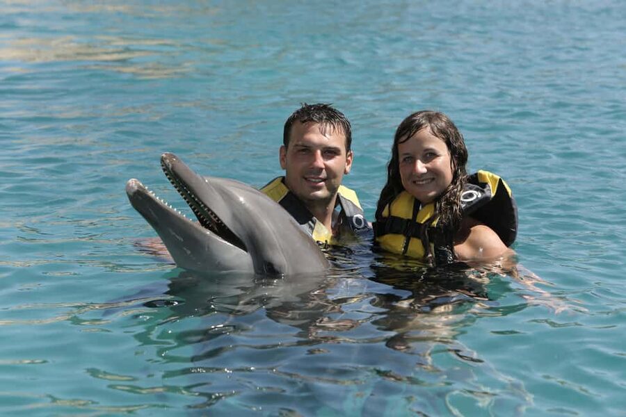 Puerto Plata Ocean World Dolphin Swim - The Dolphin Swim Is the Main Event