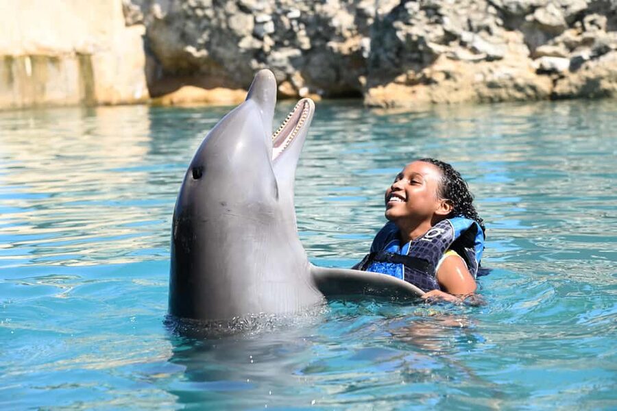 Puerto Plata Ocean World Dolphin Swim - What the Trainer Orientation Adds