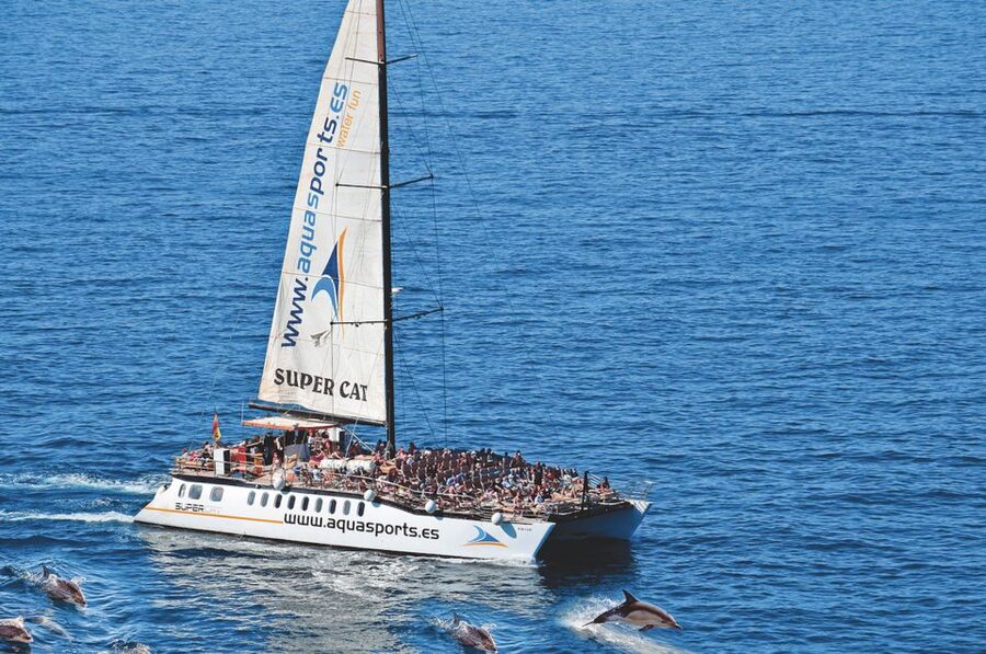 Puerto Rico : 2 hour Dolphin Catamaran Excursion - Key points before you book