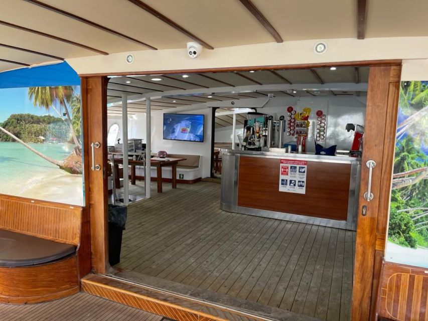 Puerto Rico : 2 hour Dolphin Catamaran Excursion - The return route and the final half hour