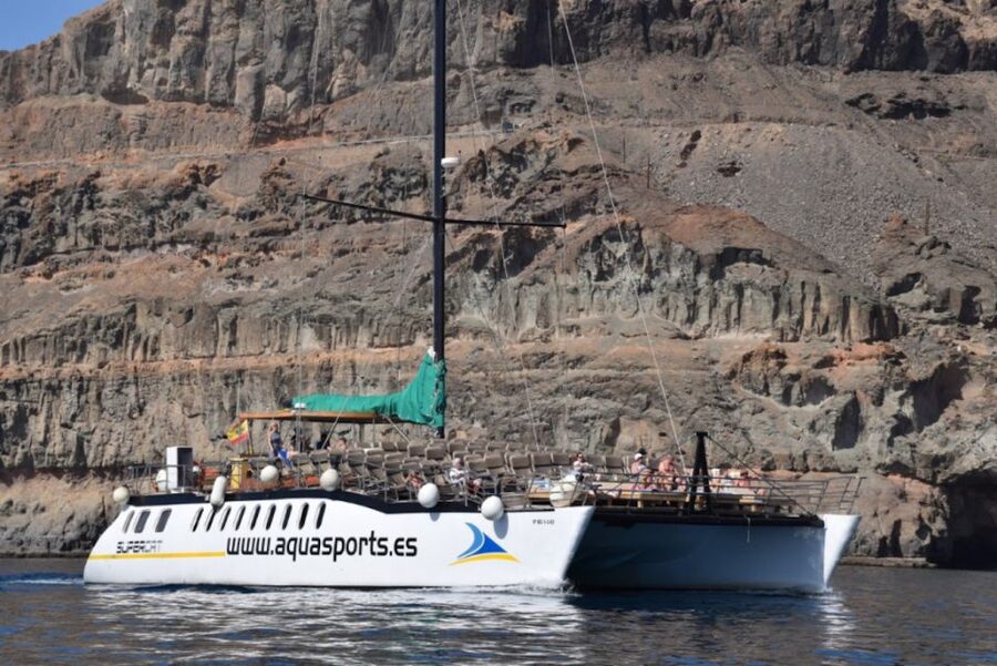 Puerto Rico : 2 hour Dolphin Catamaran Excursion - Price, pickup, and overall value at $41