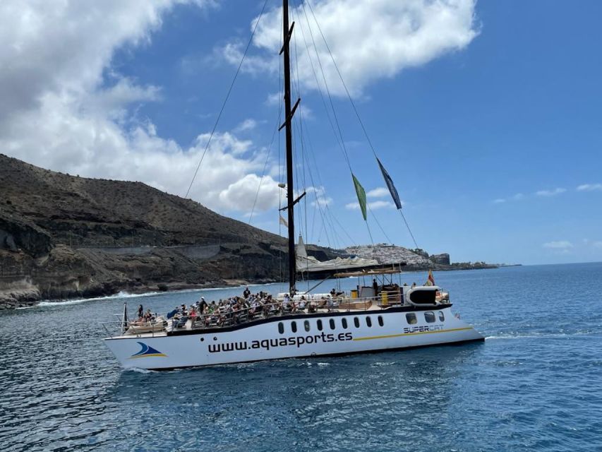 Puerto Rico : 2 hour Dolphin Catamaran Excursion - Practical details that can make the outing better