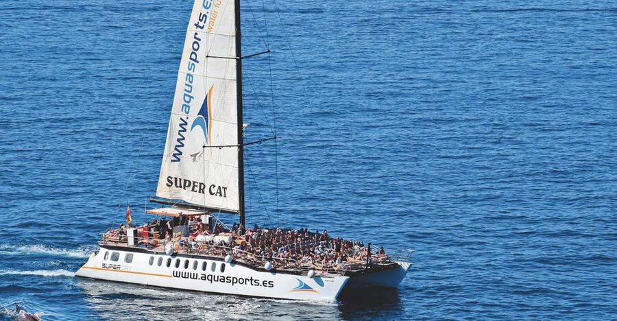 Puerto Rico : 2 hour Dolphin Catamaran Excursion - The first hour: open water and wildlife watching