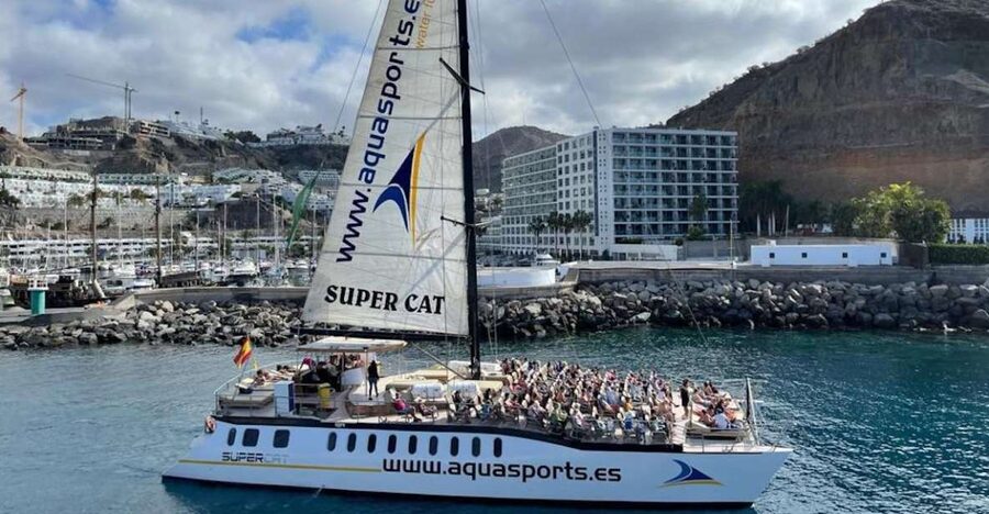 Puerto Rico de Gran Canaria: Premium Dolphin Catamaran Tour - Comfortable seating and the right place to sit