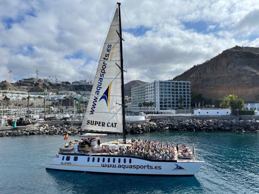 Puerto Rico de Gran Canaria: Premium Dolphin Catamaran Tour - The coast between wildlife stops