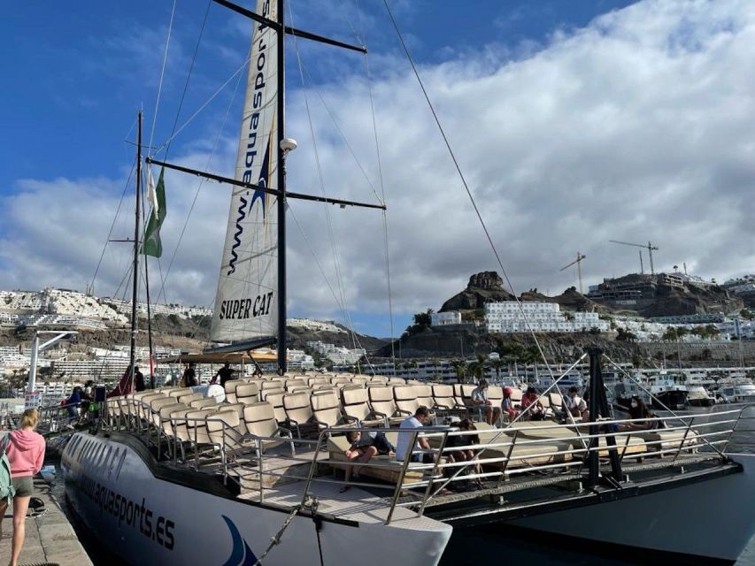 Puerto Rico de Gran Canaria: Premium Dolphin Catamaran Tour - Lunch and the open bar