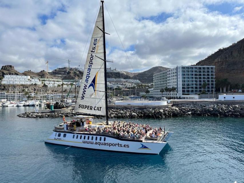 Puerto Rico de Gran Canaria: Premium Dolphin Catamaran Tour - The swimming stop and banana boat