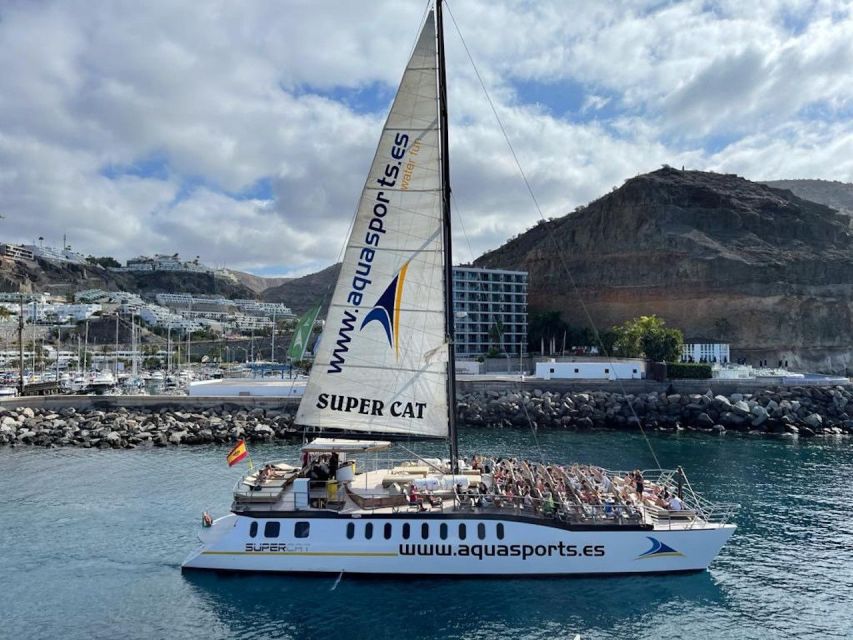 Puerto Rico de Gran Canaria: Premium Dolphin Catamaran Tour - A note about the two-part schedule