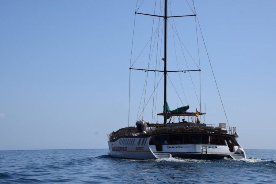 Puerto Rico de Gran Canaria: Premium Dolphin Catamaran Tour - Pickup, timing, and practical planning