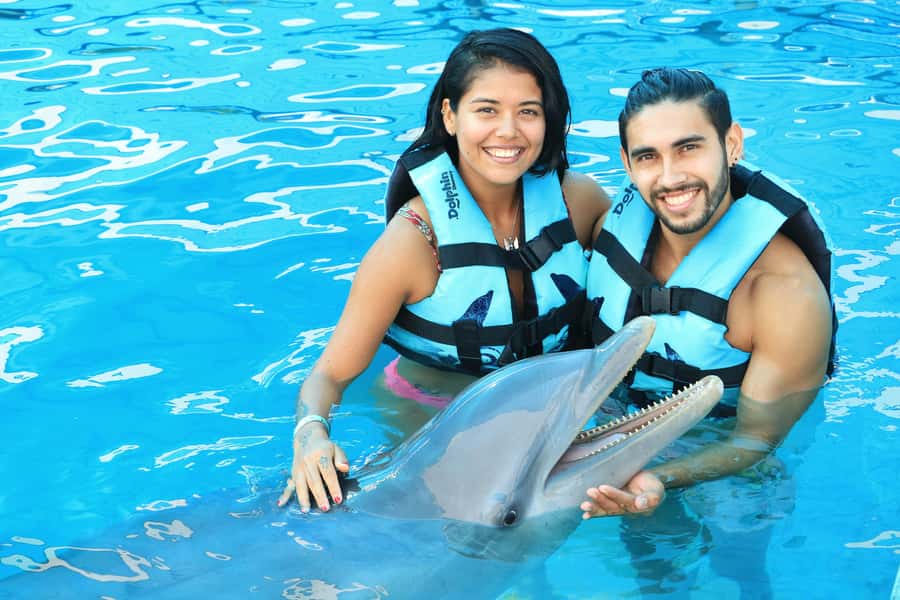 Puerto Vallarta: Dolphin Swimming and Aquaventuras Park - Who gets the best value from the $159 price