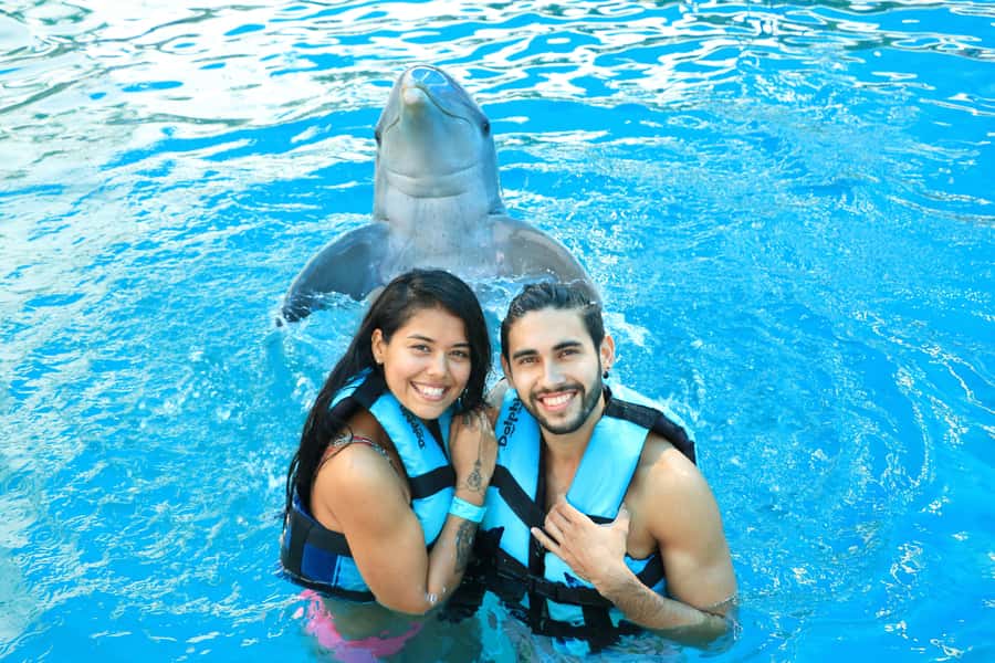 Puerto Vallarta: Dolphin Swimming and Aquaventuras Park - The animal-care question you should consider