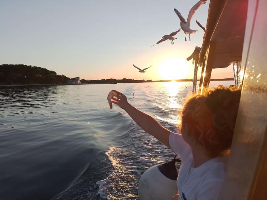 Pula: Brijuni Dolphins Sunset Cruise with Dinner and Drinks - Seeing Brijuni National Park from the water