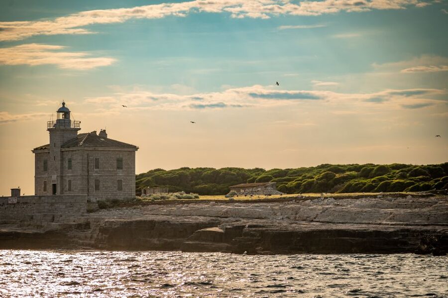 Pula: Brijuni National Park Sunset, Dolphins & Dinner Cruise - Searching for dolphins around Brijuni National Park