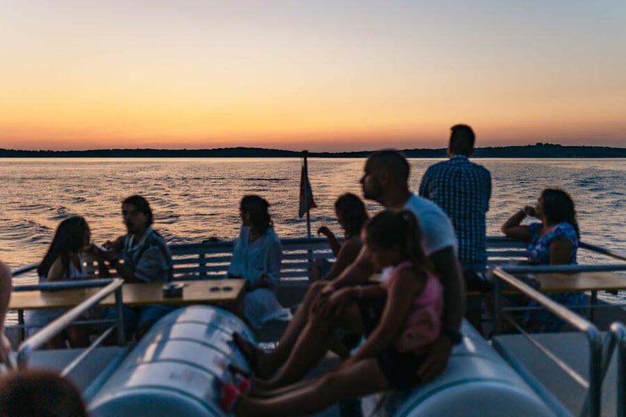 Pula: Dolphin&Sunset Cruise in Brijuni with Dinner&Drinks - Finding dolphins in the open Adriatic