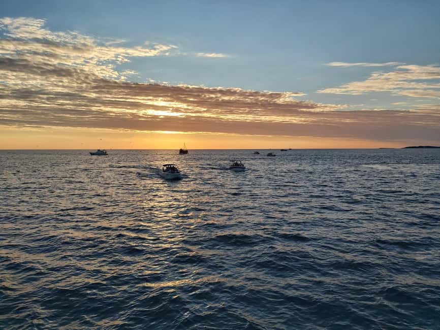 Pula: Dolphin Sunset Cruise to Brijuni with Dinner & Drinks - Leaving Pula with the Arena in view