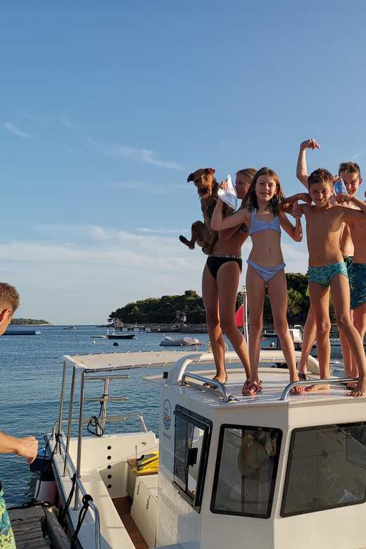 Pula Dolphin Watching Boat Trip - Key points at a glance
