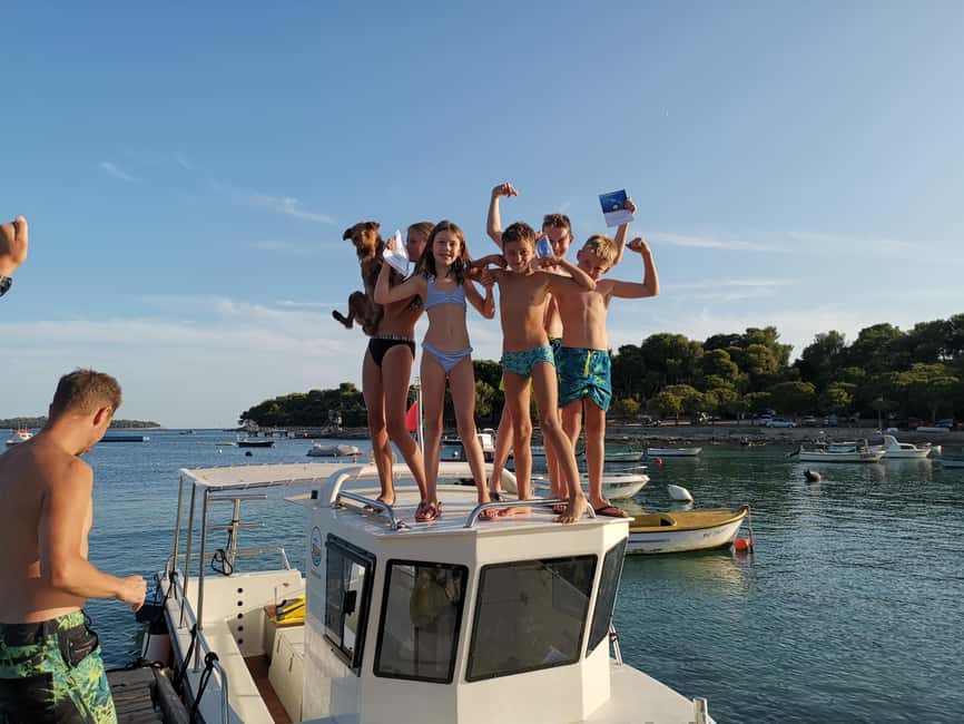 Pula Dolphin Watching Boat Trip - What a dolphin encounter may look like
