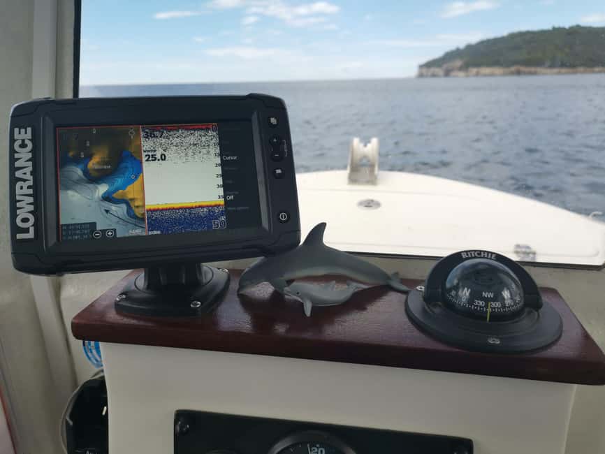 Pula Dolphin Watching Boat Trip - Is $52 a fair price?