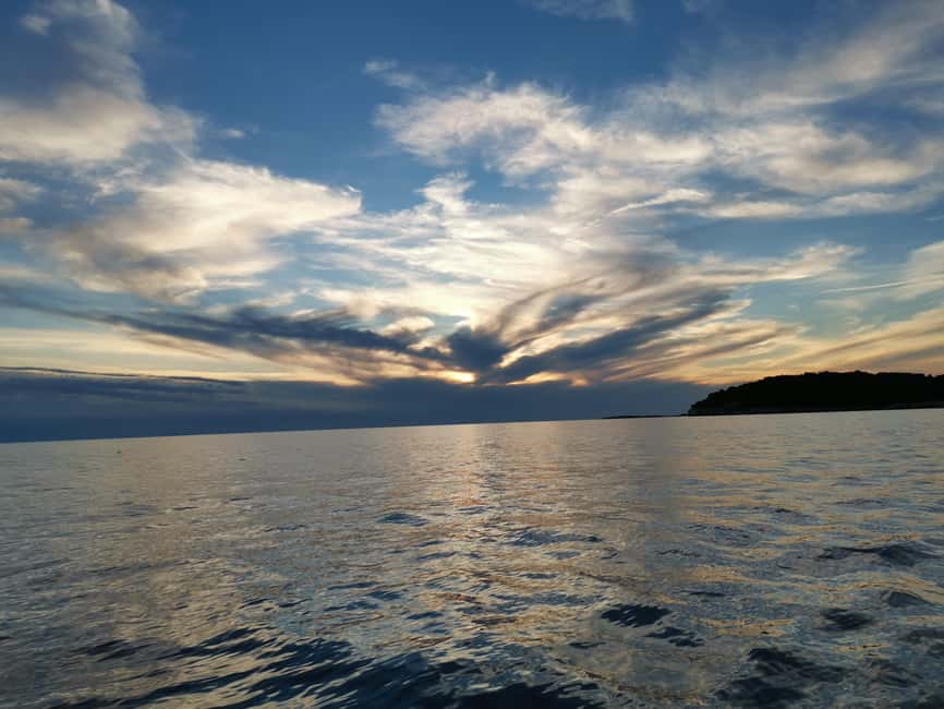Pula Dolphin Watching Boat Trip - Who will enjoy this boat trip most?