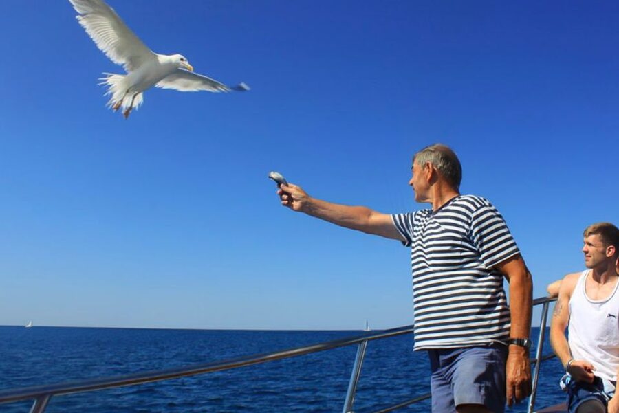 Pula: Dolphin Watching Sunset Cruise with Dinner & Drinks - Leaving Pula Harbor beside the Roman amphitheater