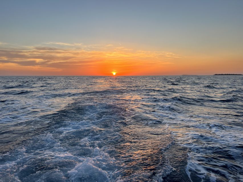 Pula: Dolphin Watching Sunset Cruise with Dinner & Drinks - What $65 includes, and where the value lies