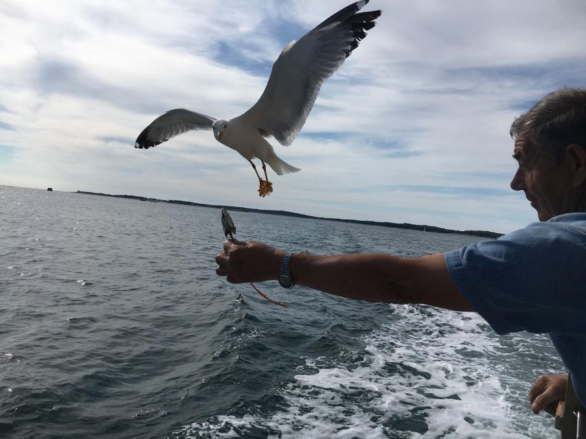 Pula: Dolphin Watching Sunset Cruise with Dinner & Drinks - A Mediterranean dinner with three practical choices