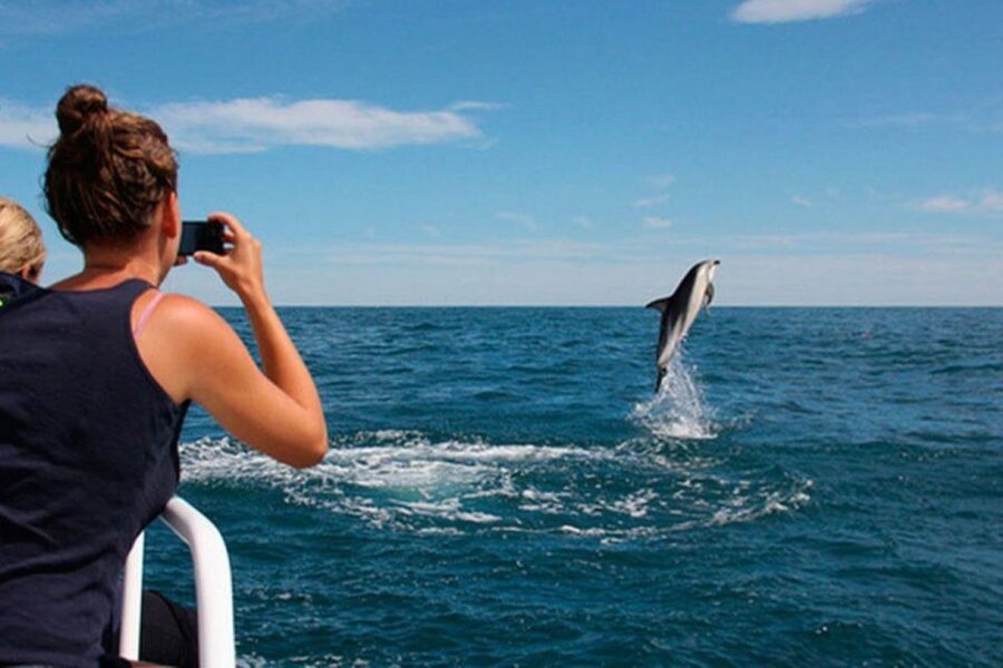 Pula: National Park Brijuni Island Visit & Dolphin Cruise - Key points to know before booking