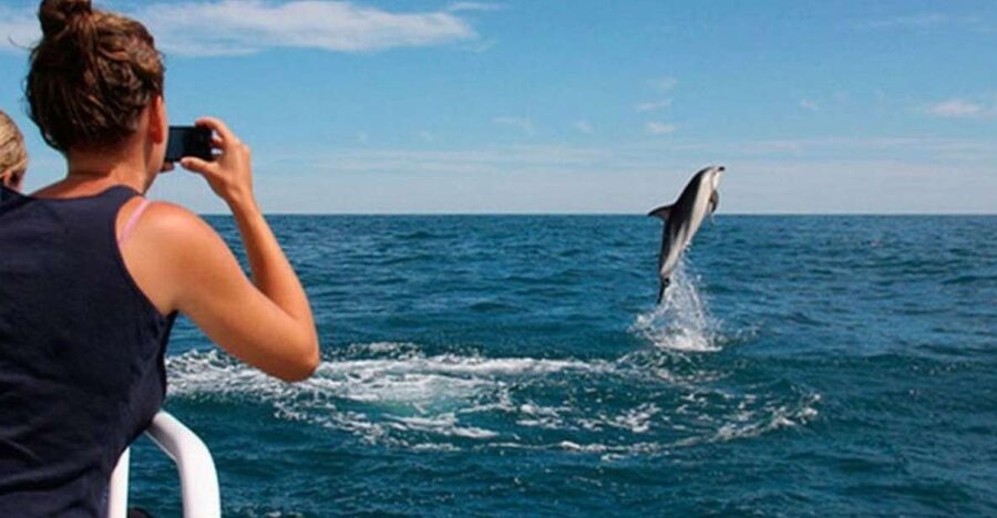 Pula: National Park Brijuni Island Visit & Dolphin Cruise - Brijuni National Park from the water