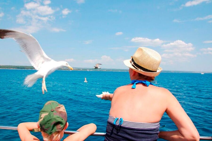 Pula: National Park Brijuni Island Visit & Dolphin Cruise - Dinner and unlimited drinks onboard
