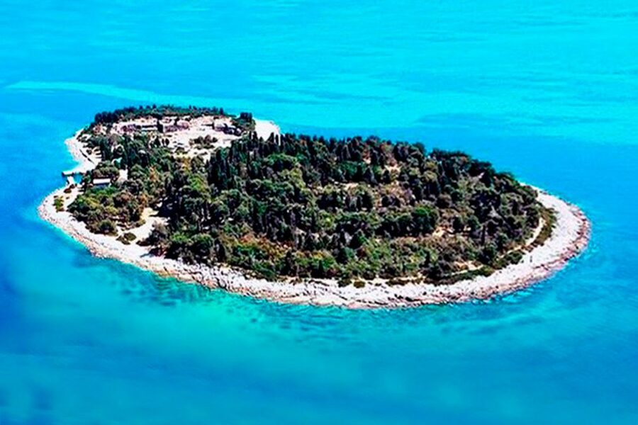 Pula: National Park Brijuni Island Visit & Dolphin Cruise - Dolphin watching near Pula and Fažana