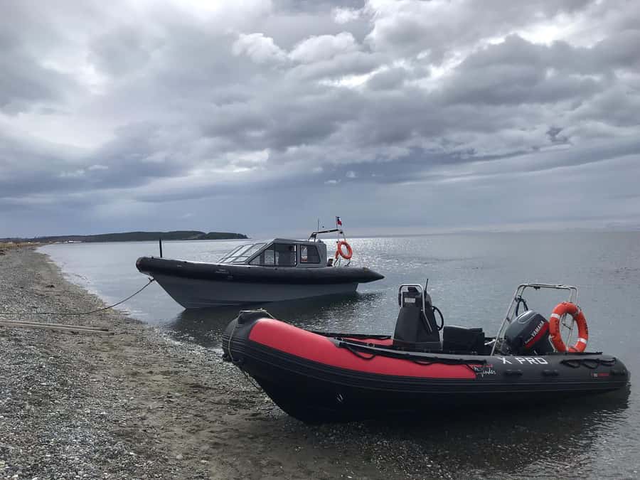 Punta Arenas: Dolphin & Wildlife Watching - Getting ready for the small boat