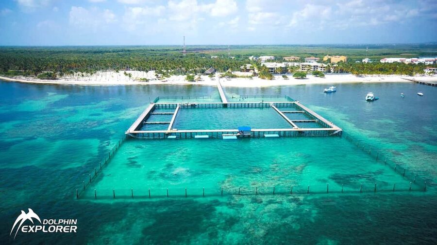 Punta Cana Dolphin Adventure: 40-Minute Interaction - Key points to know before booking