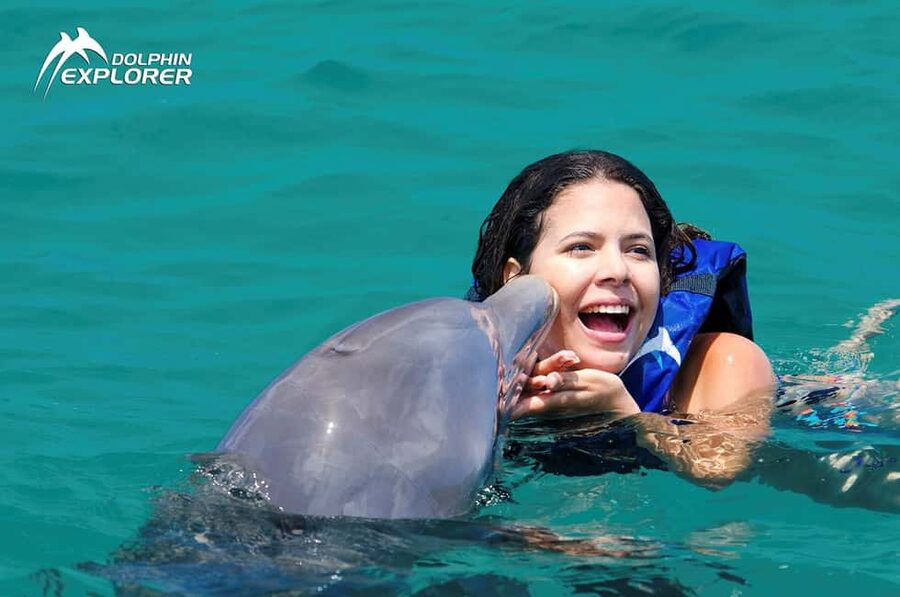 Punta Cana Dolphin Adventure: 40-Minute Interaction - How this compares with a typical resort day