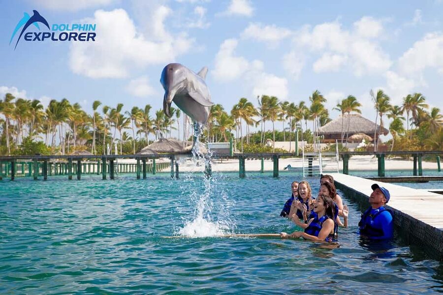 Punta Cana Dolphin Adventure: 40-Minute Interaction - Forty minutes in the water with one dolphin