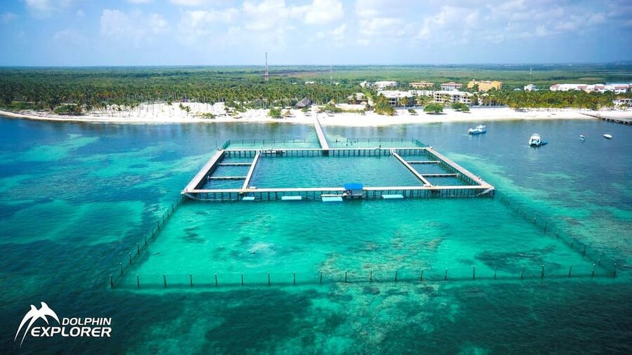 Punta Cana Dolphin Adventure: 40-Minute Interaction - Family rules that can change the total price