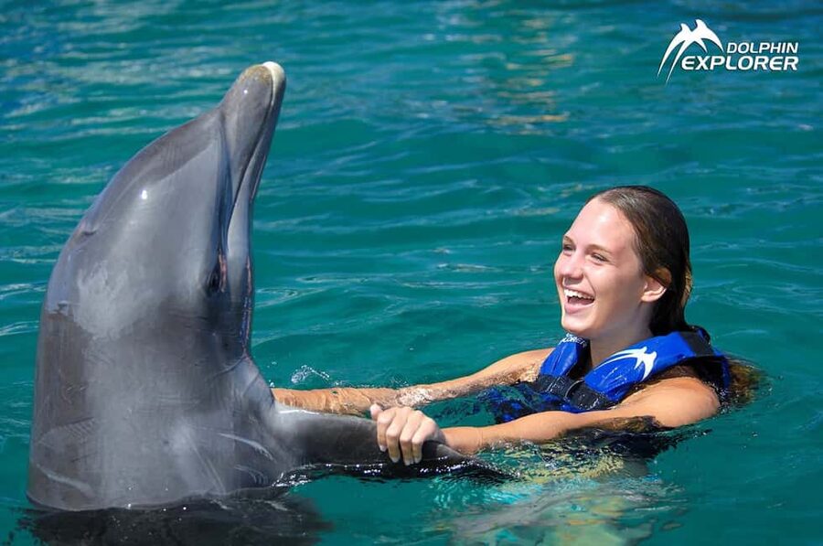 Punta Cana Dolphin Adventure: 40-Minute Interaction - Is $167 a fair price for the experience?