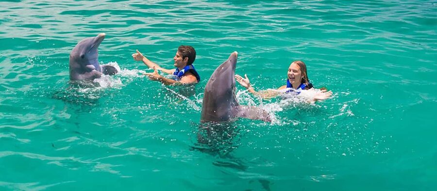 Punta Cana Dolphin Adventure: 40-Minute Interaction - Transportation from Punta Cana resort areas
