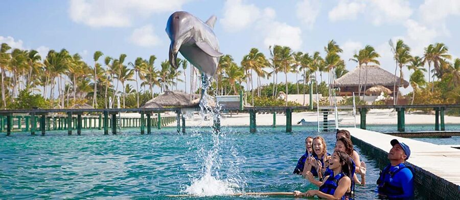 Punta Cana Dolphin Adventure: 40-Minute Interaction - What to bring and how to prepare