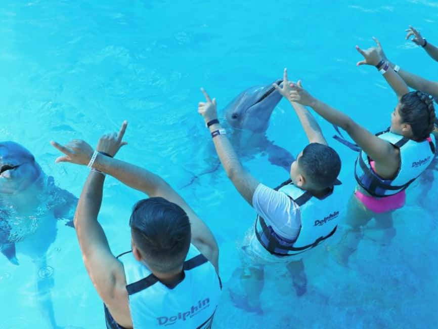 Punta Cana: Dolphin Explorer Park Entry, Swim, or Encounter - Key points to know before booking