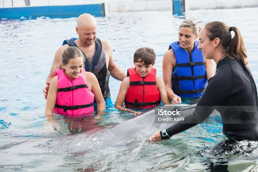 Punta Cana: Dolphin Explorer Park Entry, Swim, or Encounter - The animal welfare question