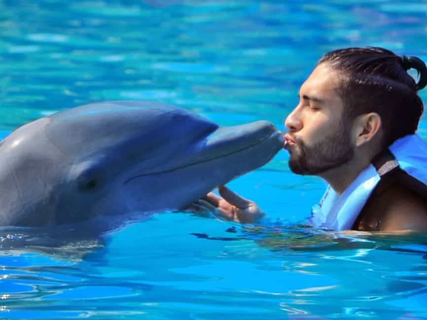 Punta Cana: Dolphin Explorer Park Entry, Swim, or Encounter - What the $140 price actually gets you